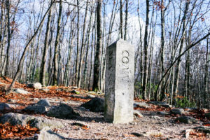 Read more about the article First Annual Fall Hike! Nov 411h @ 9am